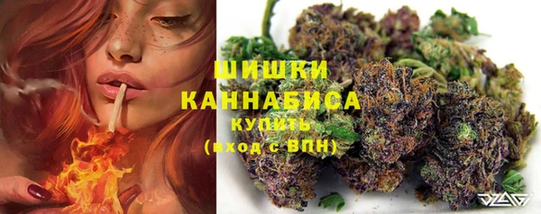 гашик Каменск-Шахтинский