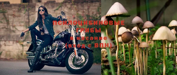 гашик Каменск-Шахтинский