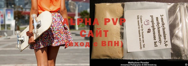 винт Инта