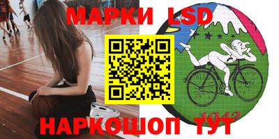 mdpv Краснознаменск
