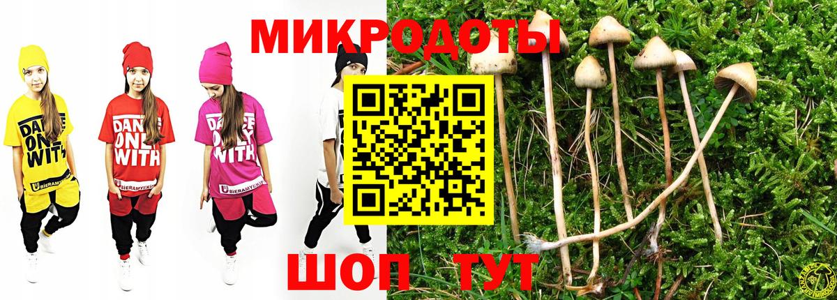 Псилоцибиновые грибы Psilocybine cubensis Кингисепп