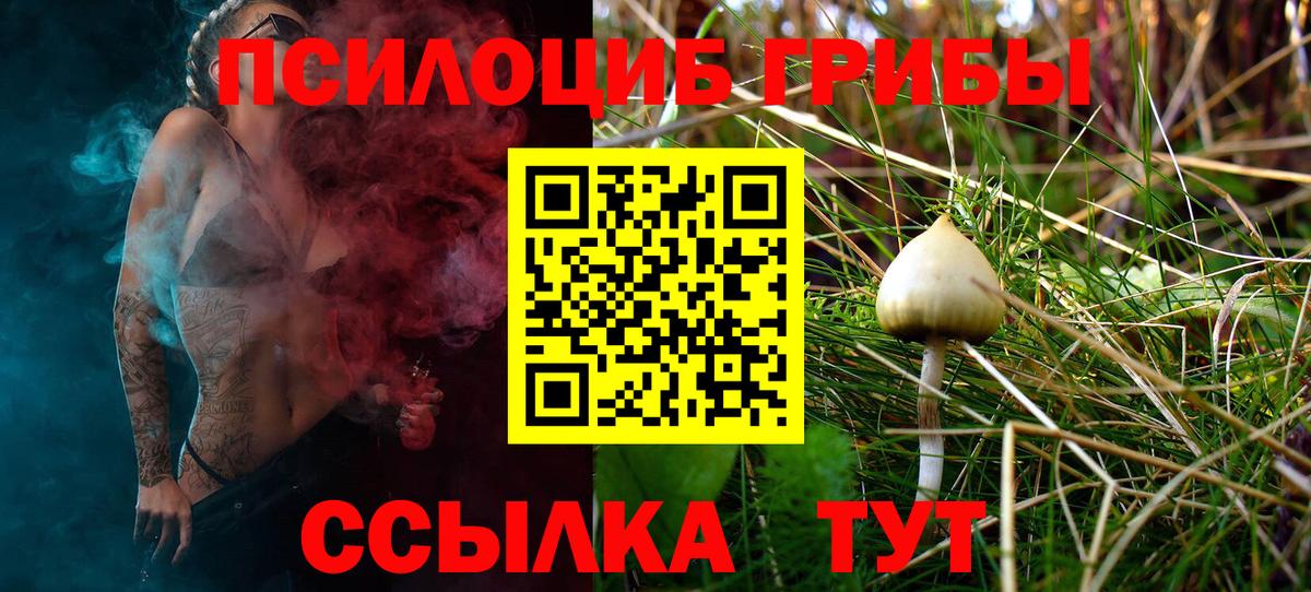 ГАШИШ Кингисепп