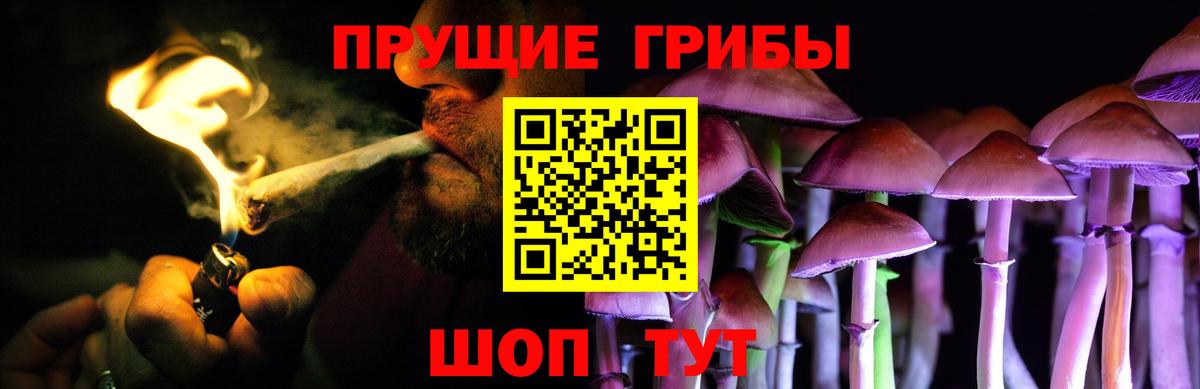 Галлюциногенные грибы Cubensis  Вход с VPN  Галлюциногенные грибы Psilocybe  Кингисепп 